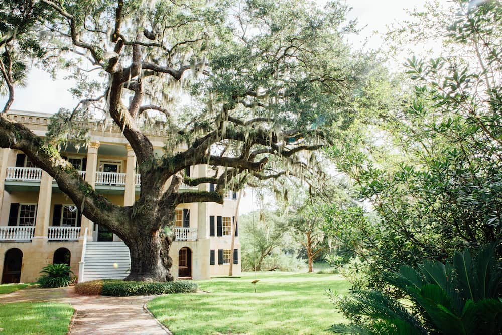 Big tree in front yard of large tan family house