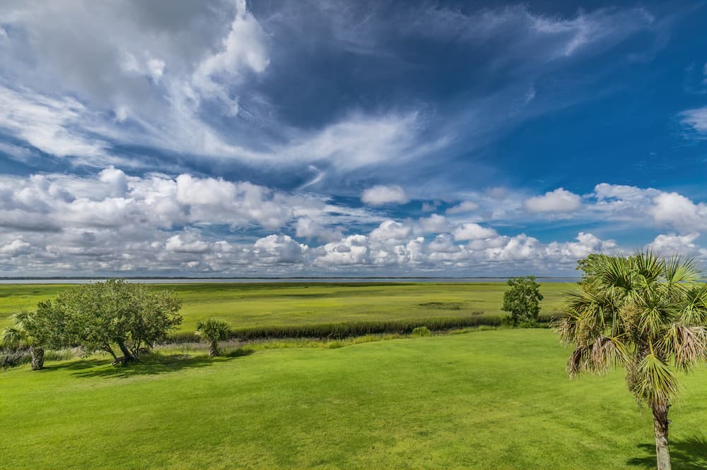 View of lush green marsh