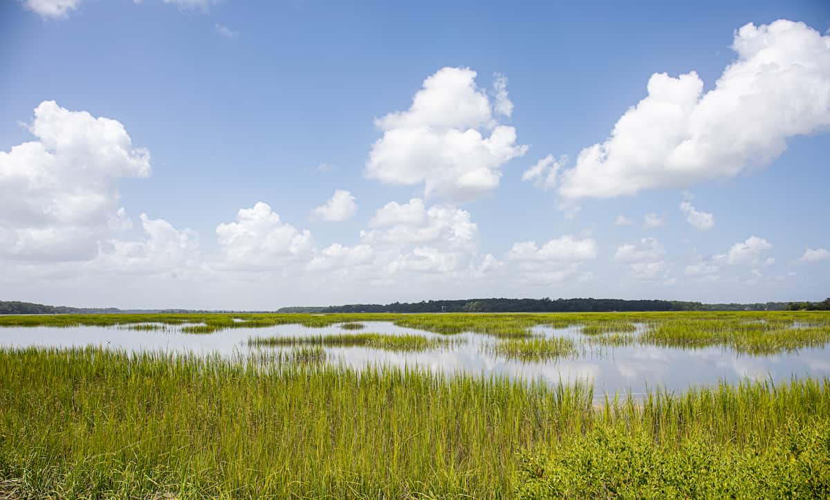 Wetlands