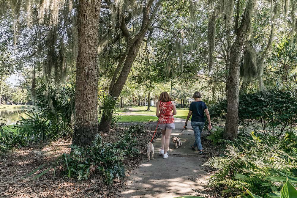 Two ladies walking their dogs in the park